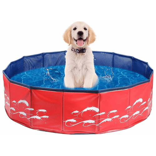 Large Collapsible Pet Dog Swimming Pool - Merchandise Plug