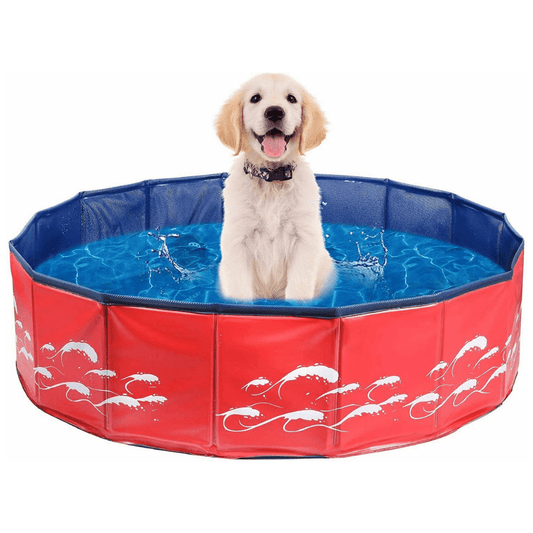 Large Collapsible Pet Dog Swimming Pool - Merchandise Plug