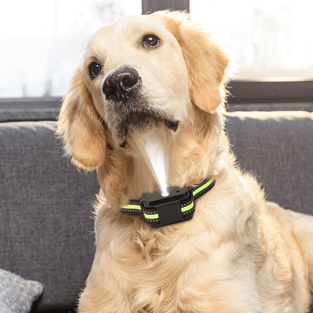 No Shock Citronella Spray Dog Anti Barking Training Collar - Merchandise Plug