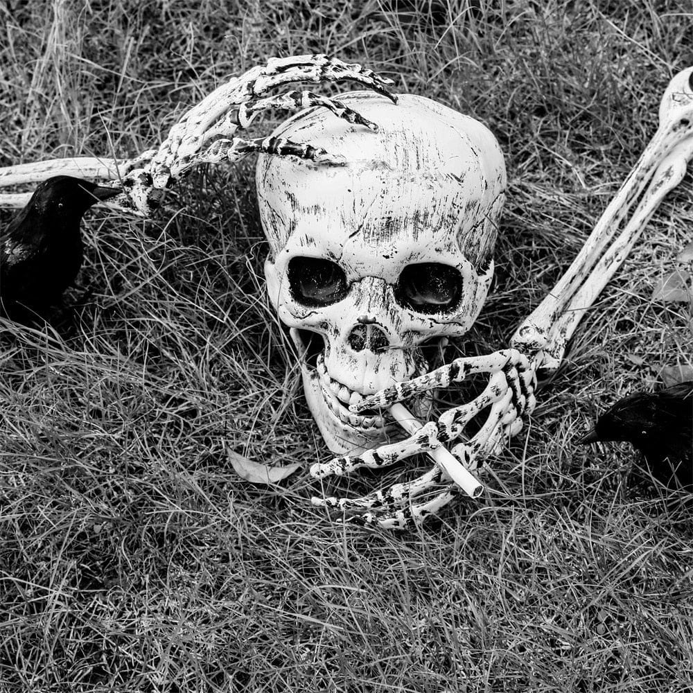 Spooky Halloween Plastic Lifesize Posable Skeleton Skull Arm Decoration - Merchandise Plug