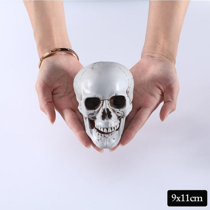 Spooky Halloween Plastic Lifesize Posable Skeleton Skull Arm Decoration - Merchandise Plug