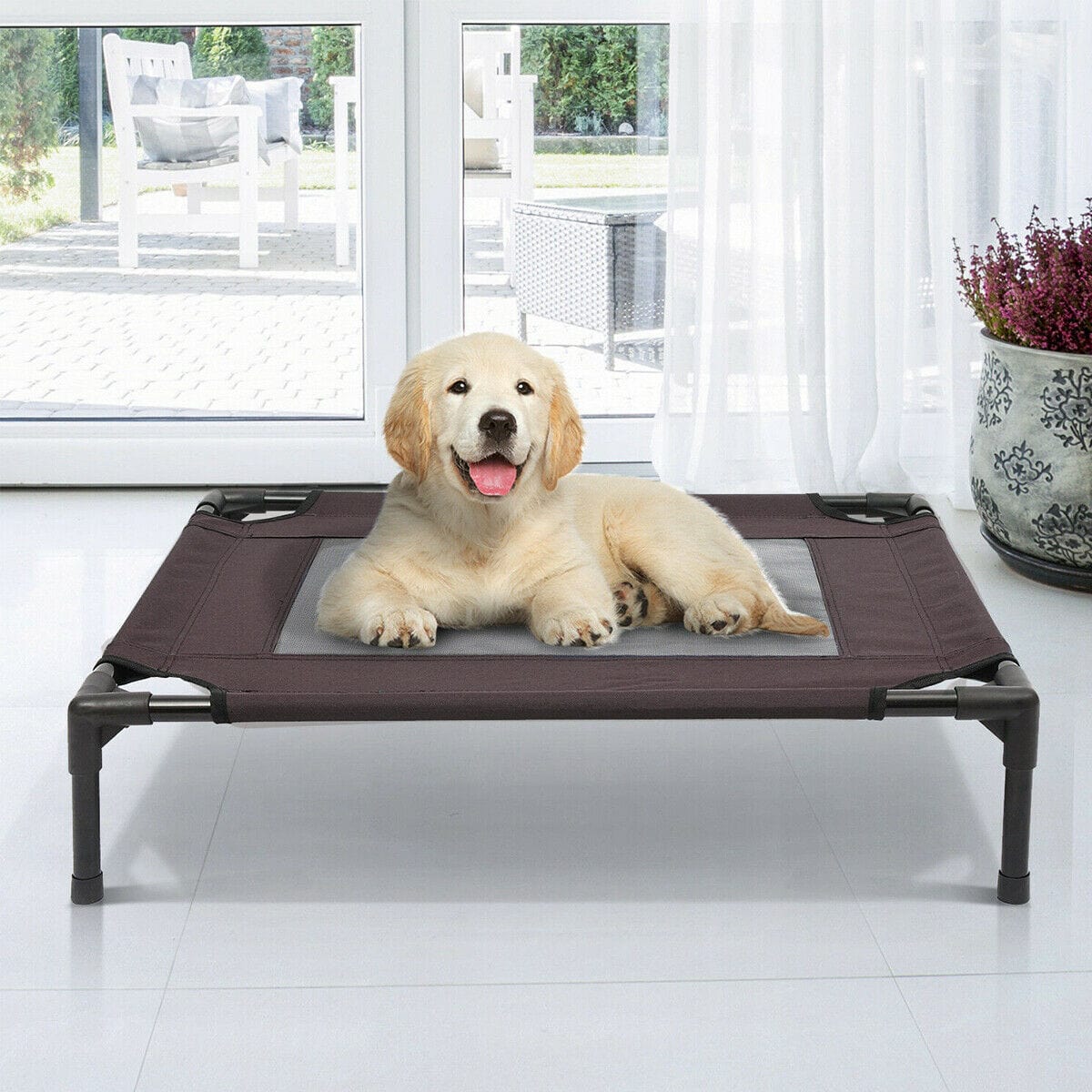 Steel-Framed Elevated Dog Bed - Merchandise Plug
